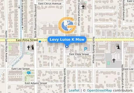 Levy Luise K Msw