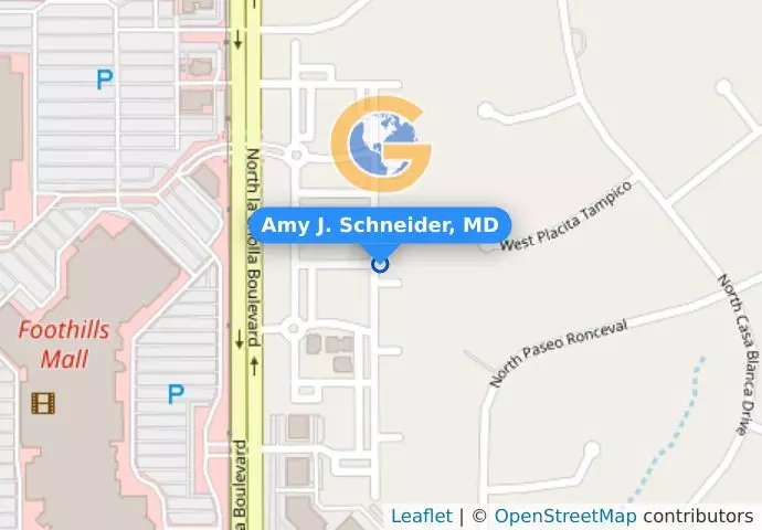 Amy J. Schneider, MD