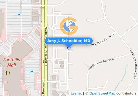 Amy J. Schneider, MD