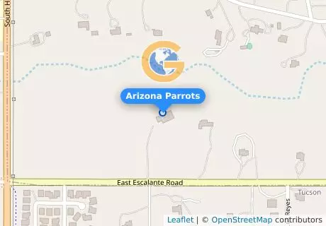 Arizona Parrots