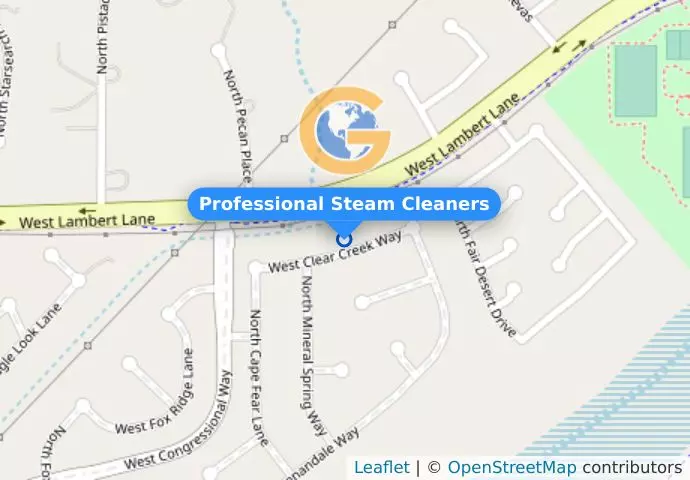 Professional Steam Cleaners