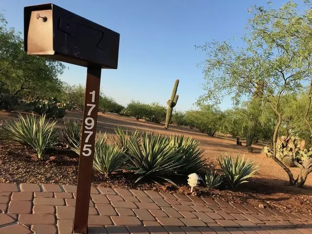 Arizona Arborists & Landscapes