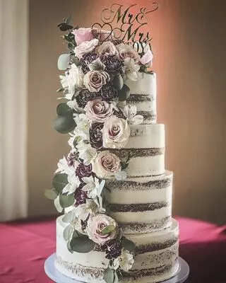 Miss Cake Ninja