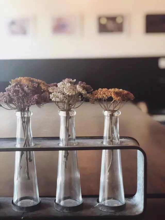 Tucson Coffee Roasters