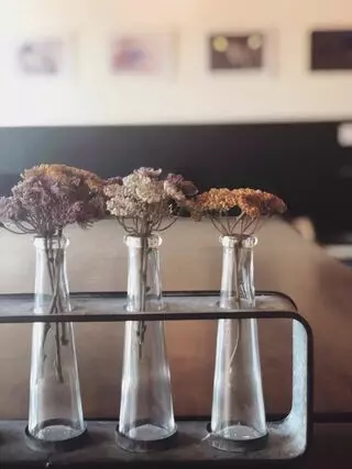 Tucson Coffee Roasters