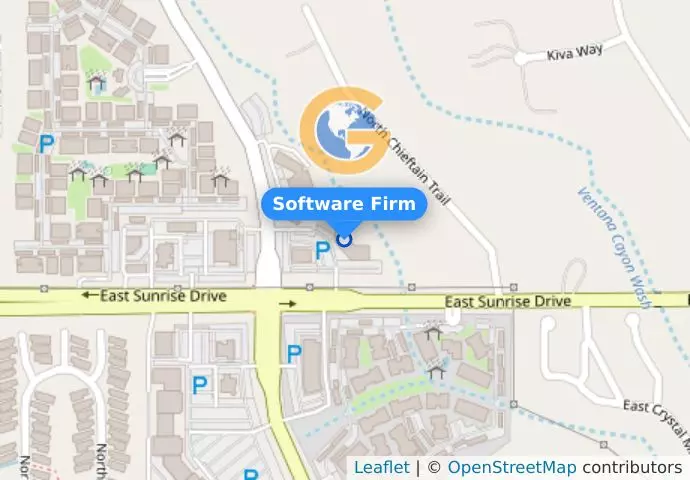Software Firm