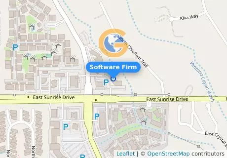 Software Firm