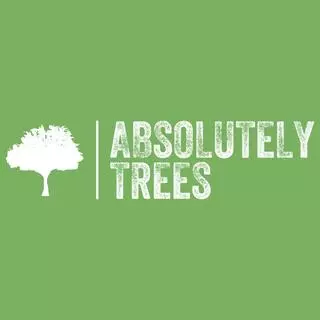 Absolutely Trees