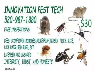 Innovation Pest Tech