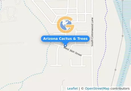 Arizona Cactus & Trees