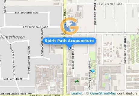 Spirit Path Acupuncture