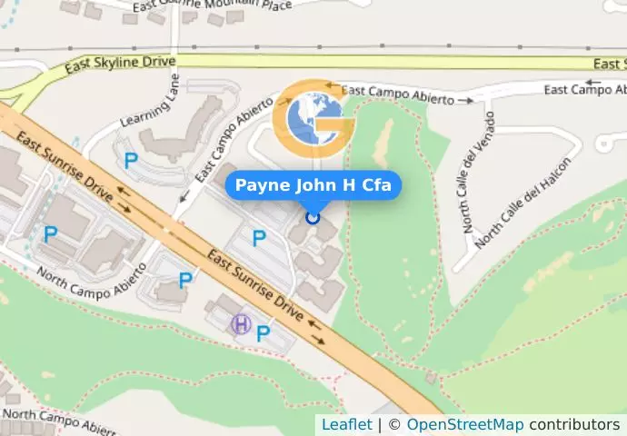Payne John H Cfa