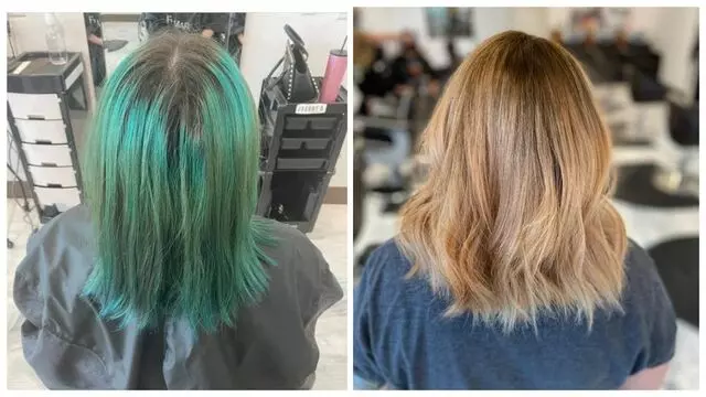 Beauty and Beasts Salon