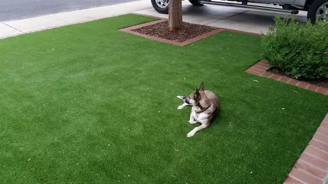 AW Turf