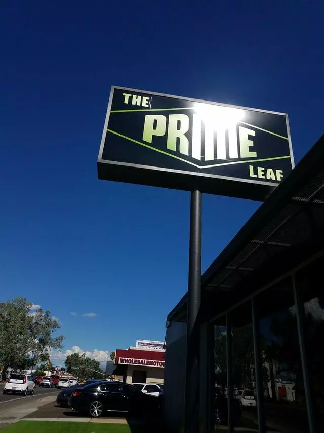 The Prime Leaf