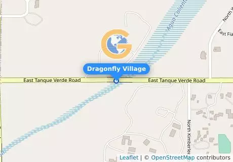 Dragonfly Village