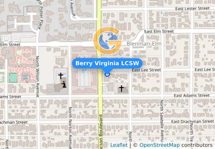 Berry Virginia LCSW