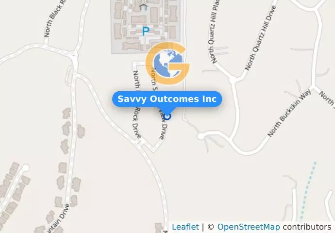 Savvy Outcomes Inc