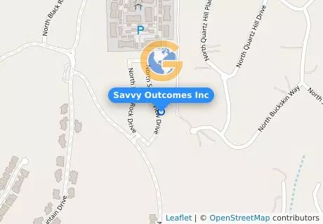Savvy Outcomes Inc