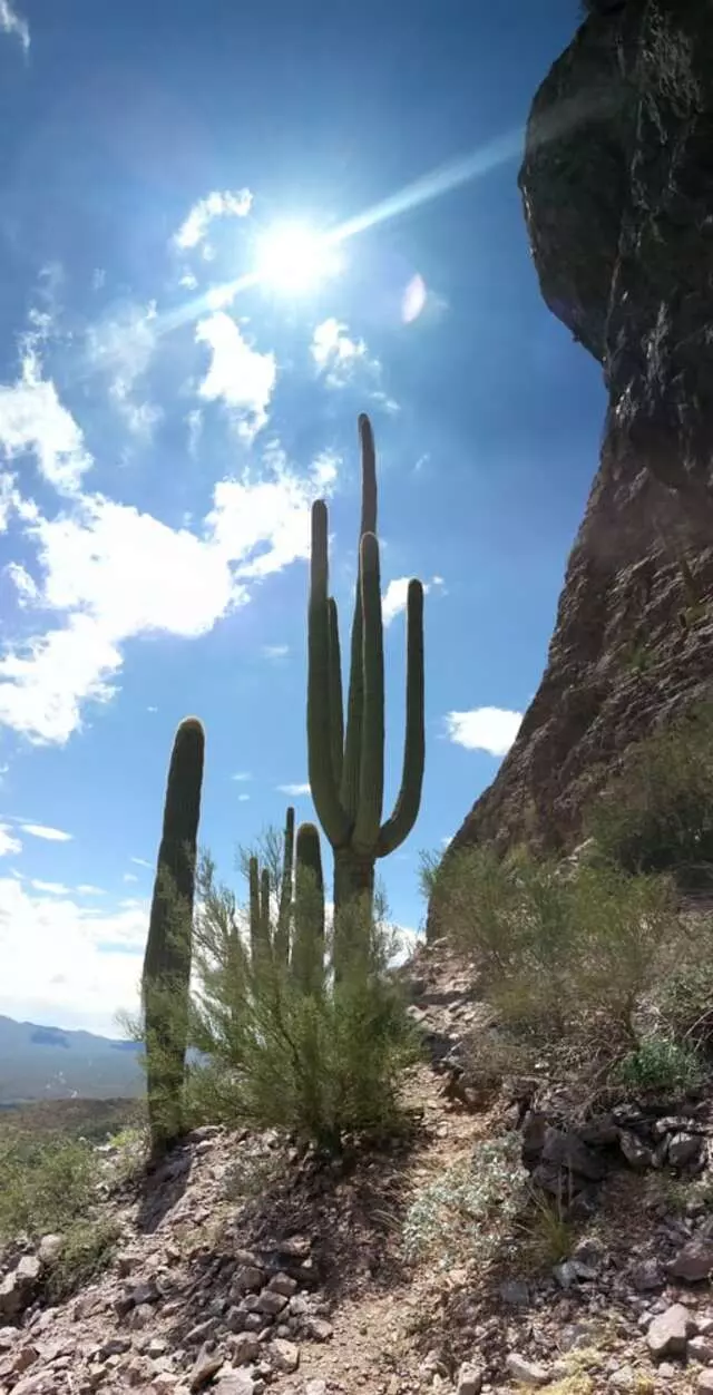 Arizona Off Duty Movers