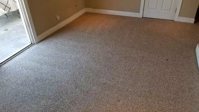 Dust Devil Carpet Cleaning