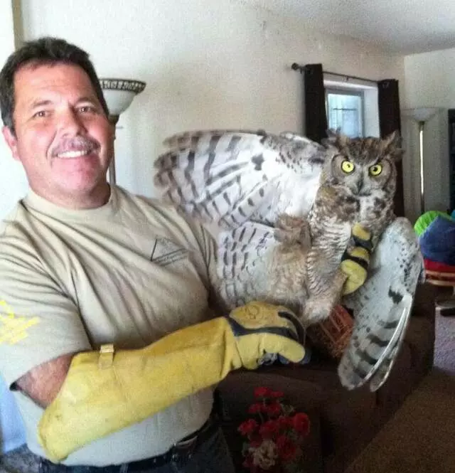 Animal Experts