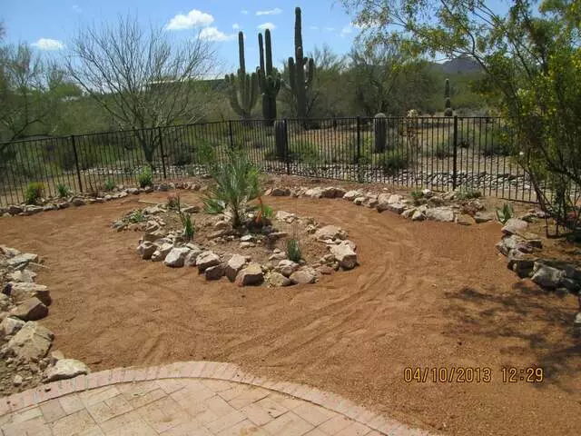 Arid Plant Designs