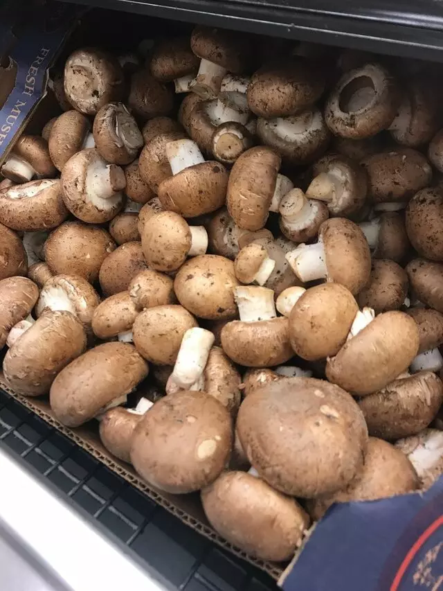 Albertsons