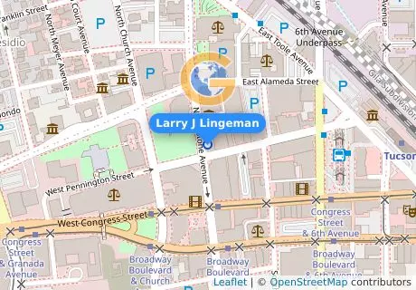 Larry J Lingeman