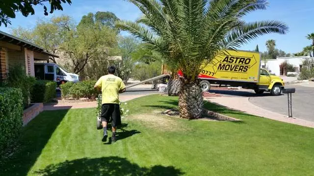 Astro Movers