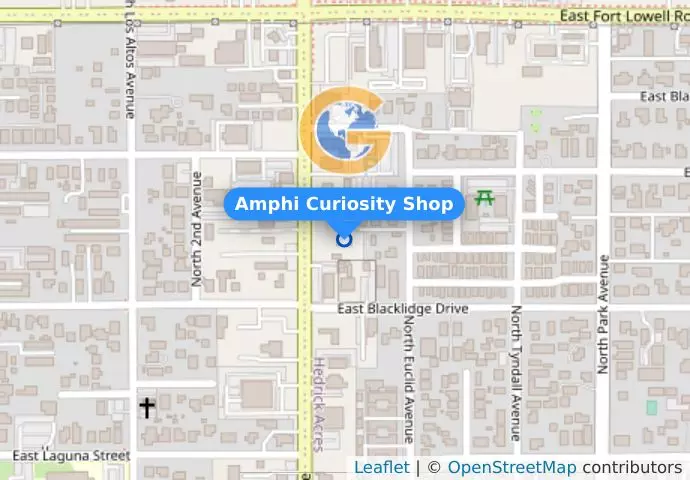 Amphi Curiosity Shop