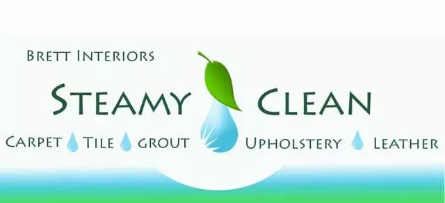 Steamy Clean