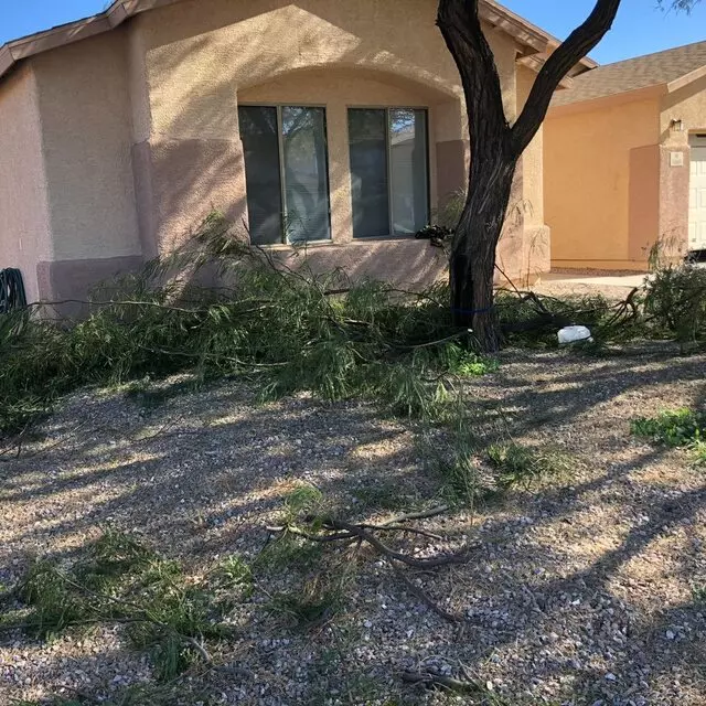 All Yard Work