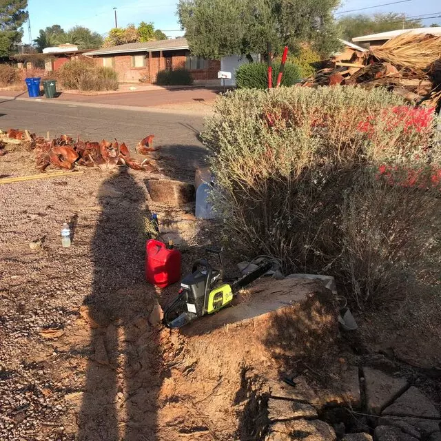 All Yard Work