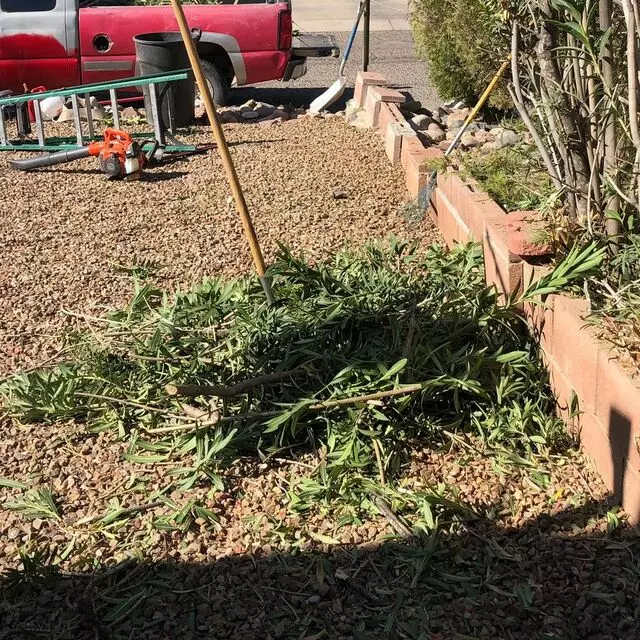 All Yard Work