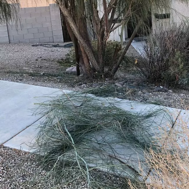All Yard Work
