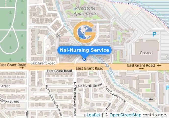 Nsi-Nursing Service