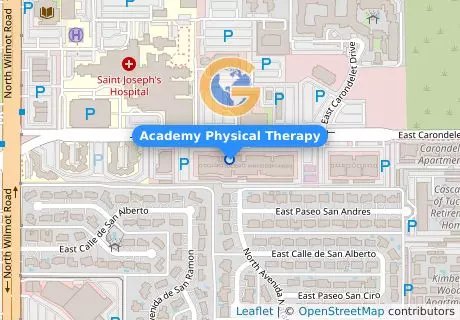 Academy Physical Therapy
