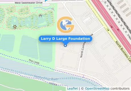 Larry D Large Foundation