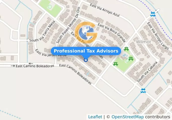 Professional Tax Advisors