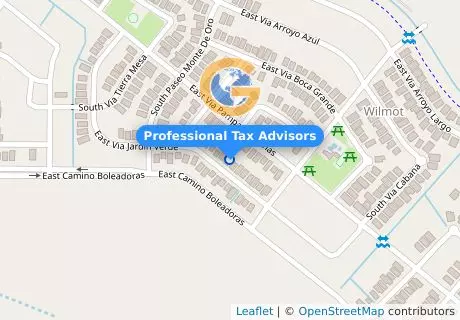 Professional Tax Advisors
