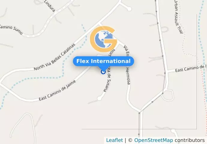 Flex International